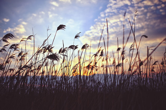 Inner Peace, How To Find It